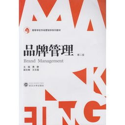 品牌管理 从理论到实践的全面指南——基于黄静主编视角